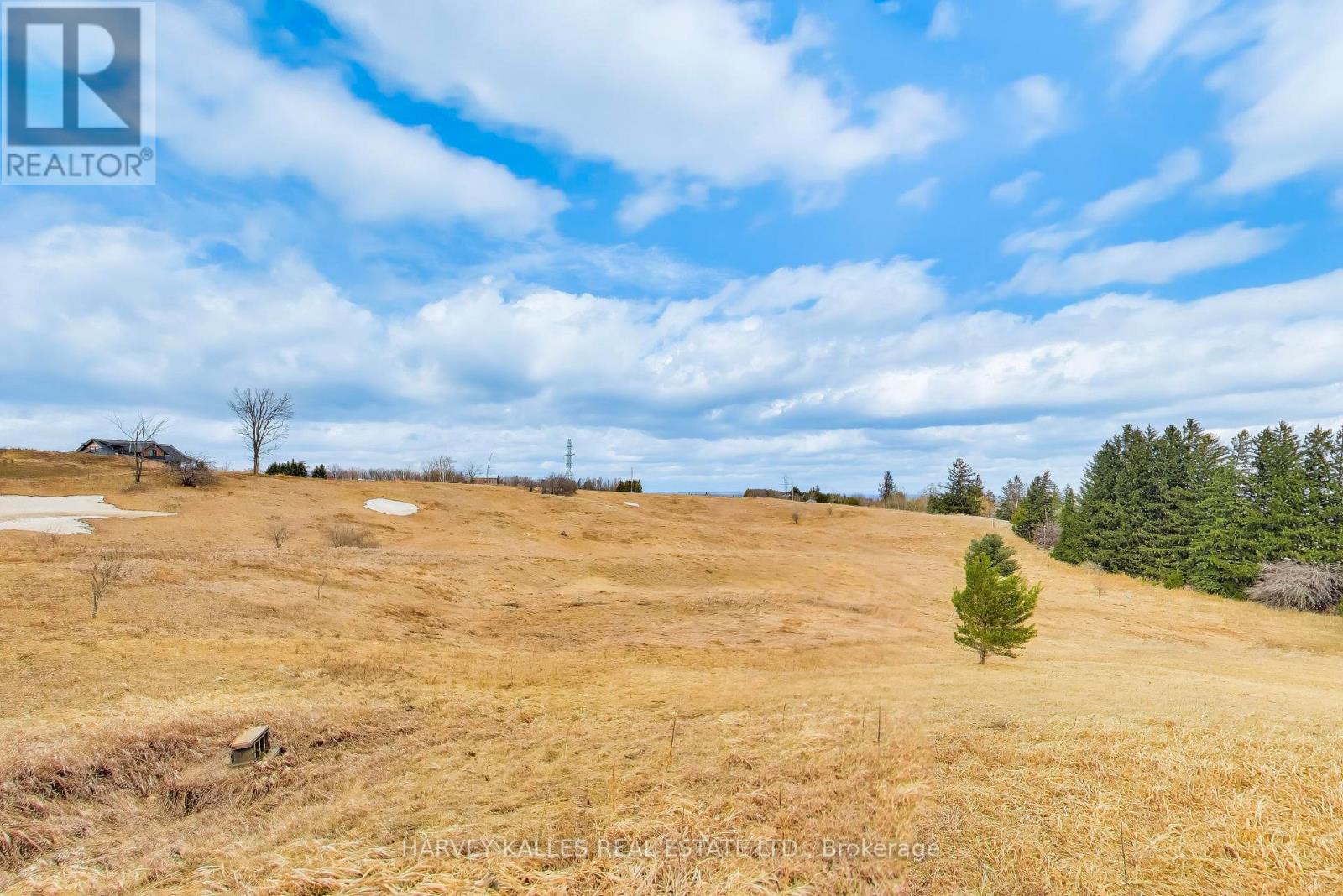 995486 Mono-Adjala Townline, Mono, Ontario  L9V 1C9 - Photo 43 - X12959298