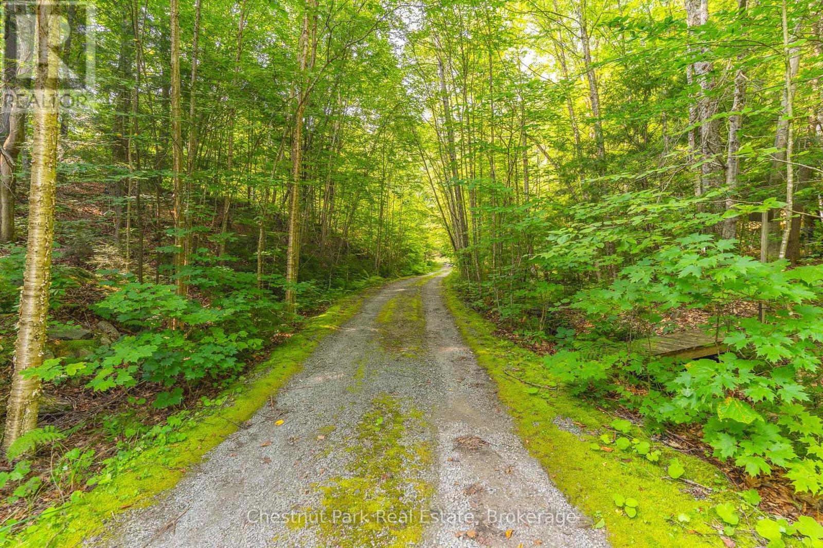 1003 Arnott Lane, Dysart Et Al, Ontario  K0M 1S0 - Photo 43 - X12907282