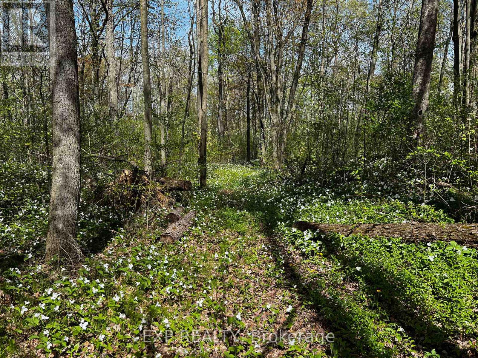 115 Fog Road, King, Ontario  L7B 1A3 - Photo 44 - N12961442