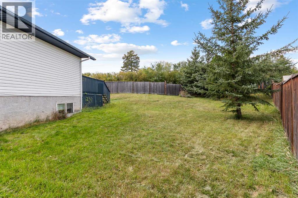 110 Pleasant Drive, Paradise Valley, Alberta  T0B 3R0 - Photo 4 - A2283281