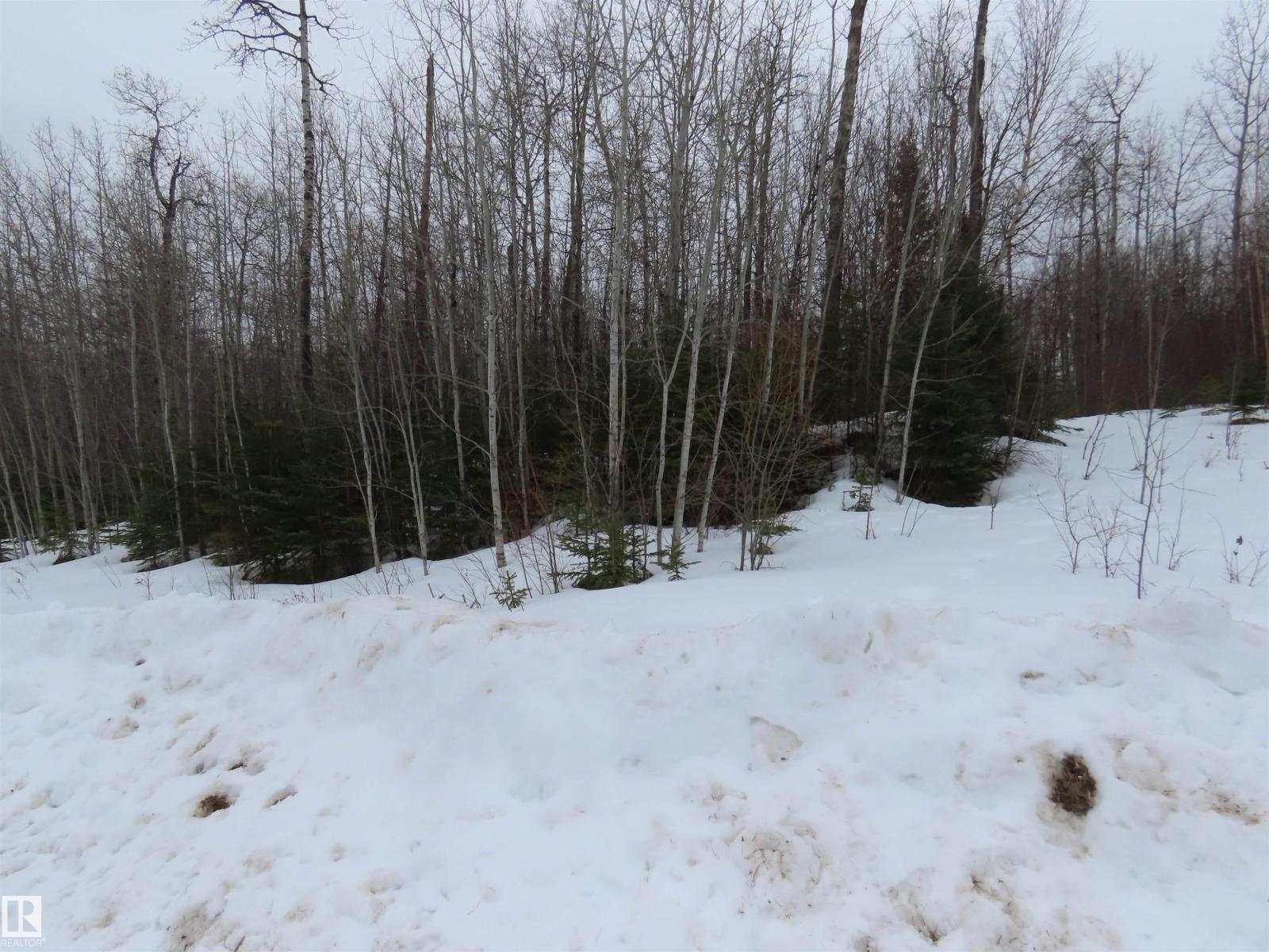 #33 56110 Rge Road 13, Rural Lac Ste. Anne County, Alberta  T0E 1V0 - Photo 6 - E4480756