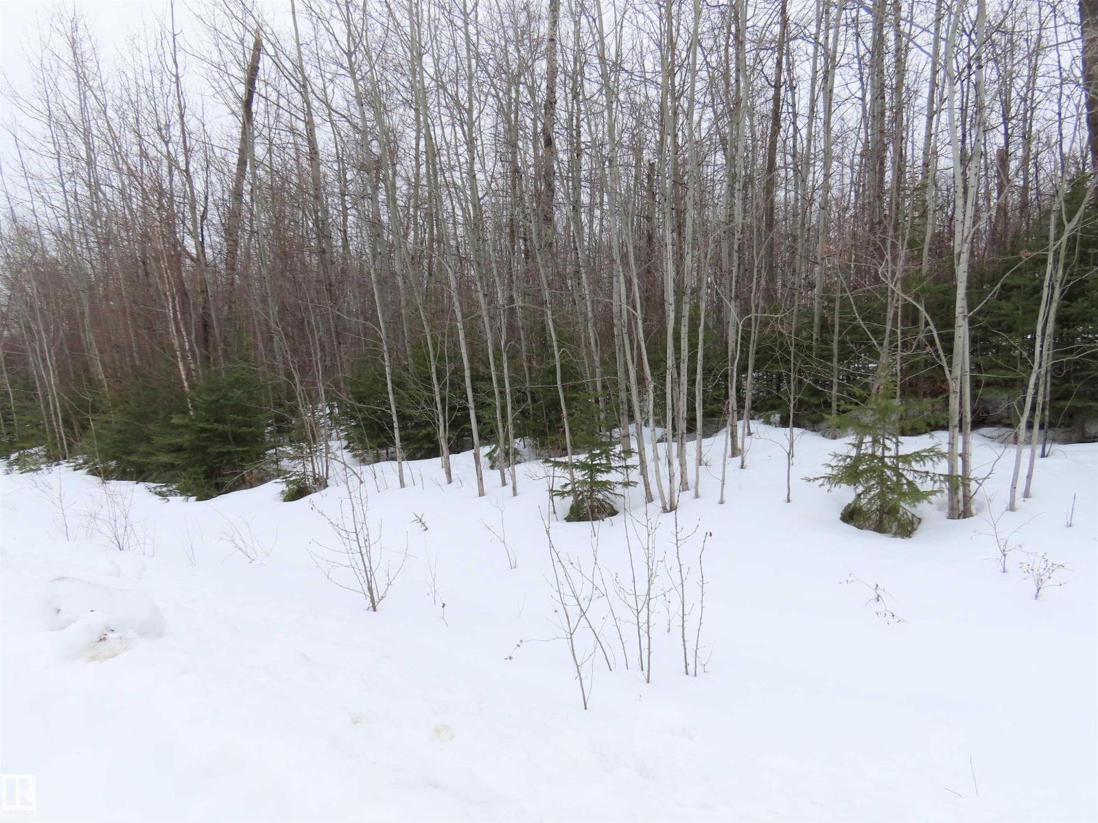 #33 56110 Rge Road 13, Rural Lac Ste. Anne County, Alberta  T0E 1V0 - Photo 7 - E4480756