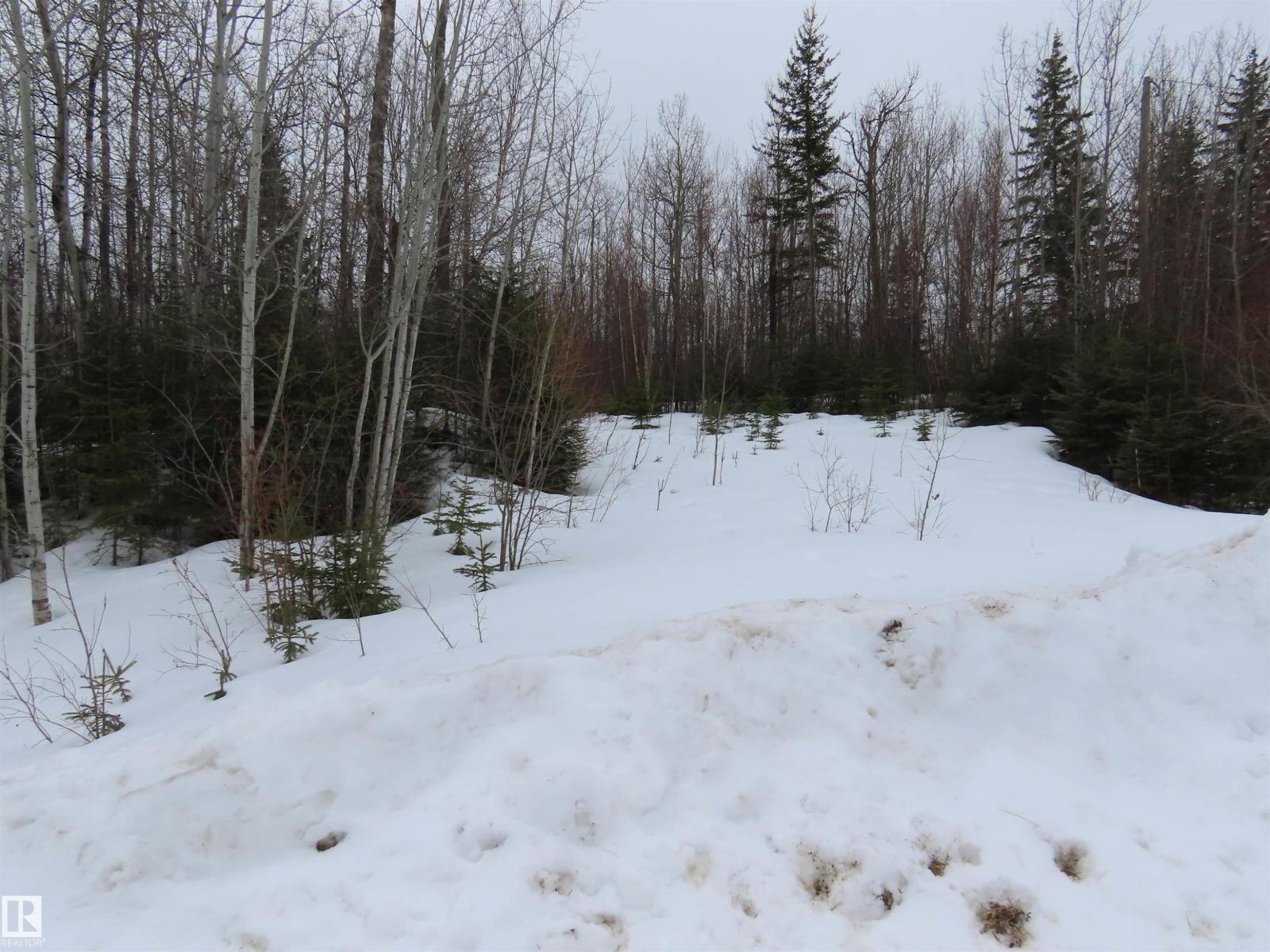 #33 56110 Rge Road 13, Rural Lac Ste. Anne County, Alberta  T0E 1V0 - Photo 3 - E4480756