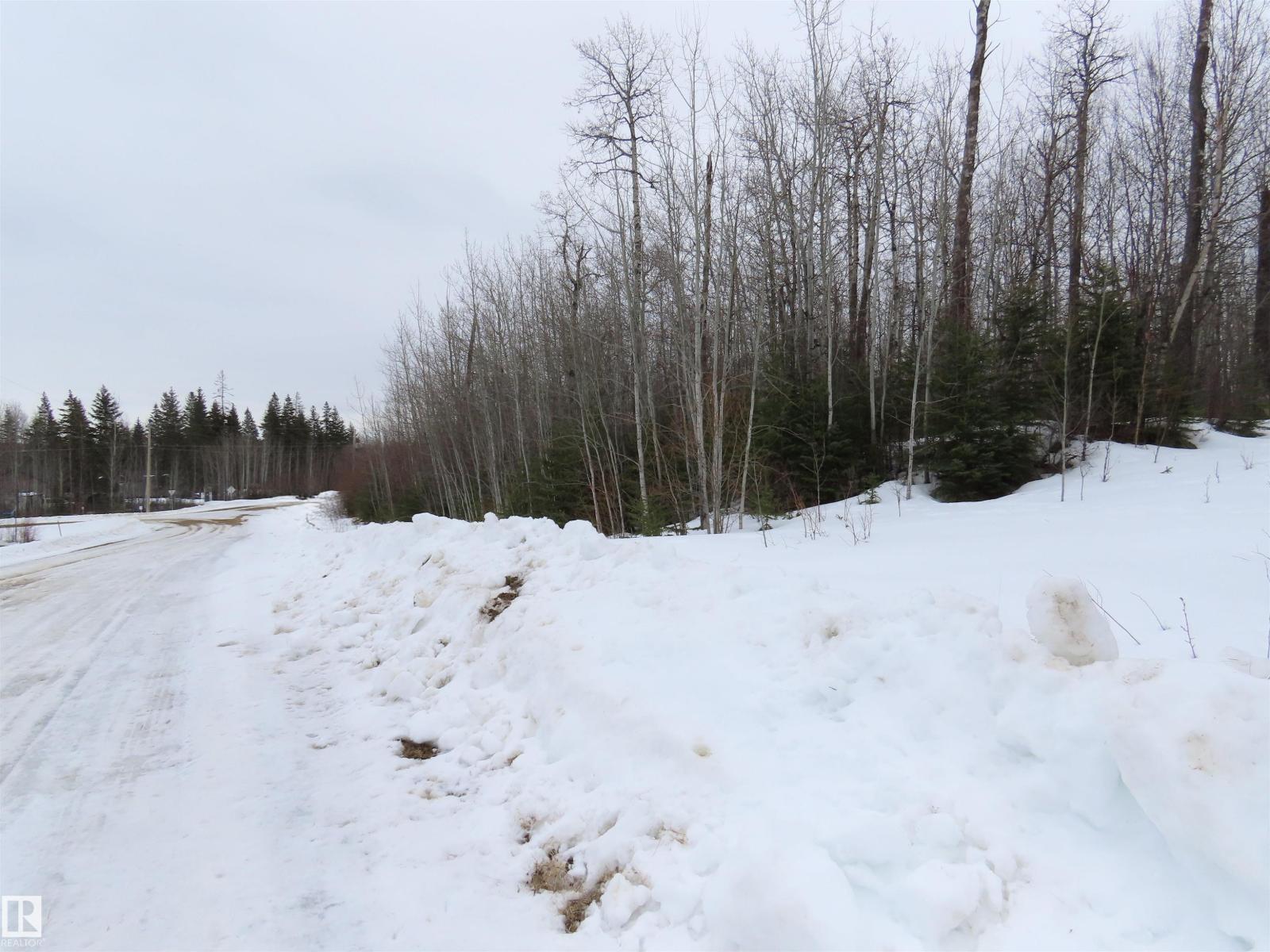 #33 56110 Rge Road 13, Rural Lac Ste. Anne County, Alberta  T0E 1V0 - Photo 5 - E4480756