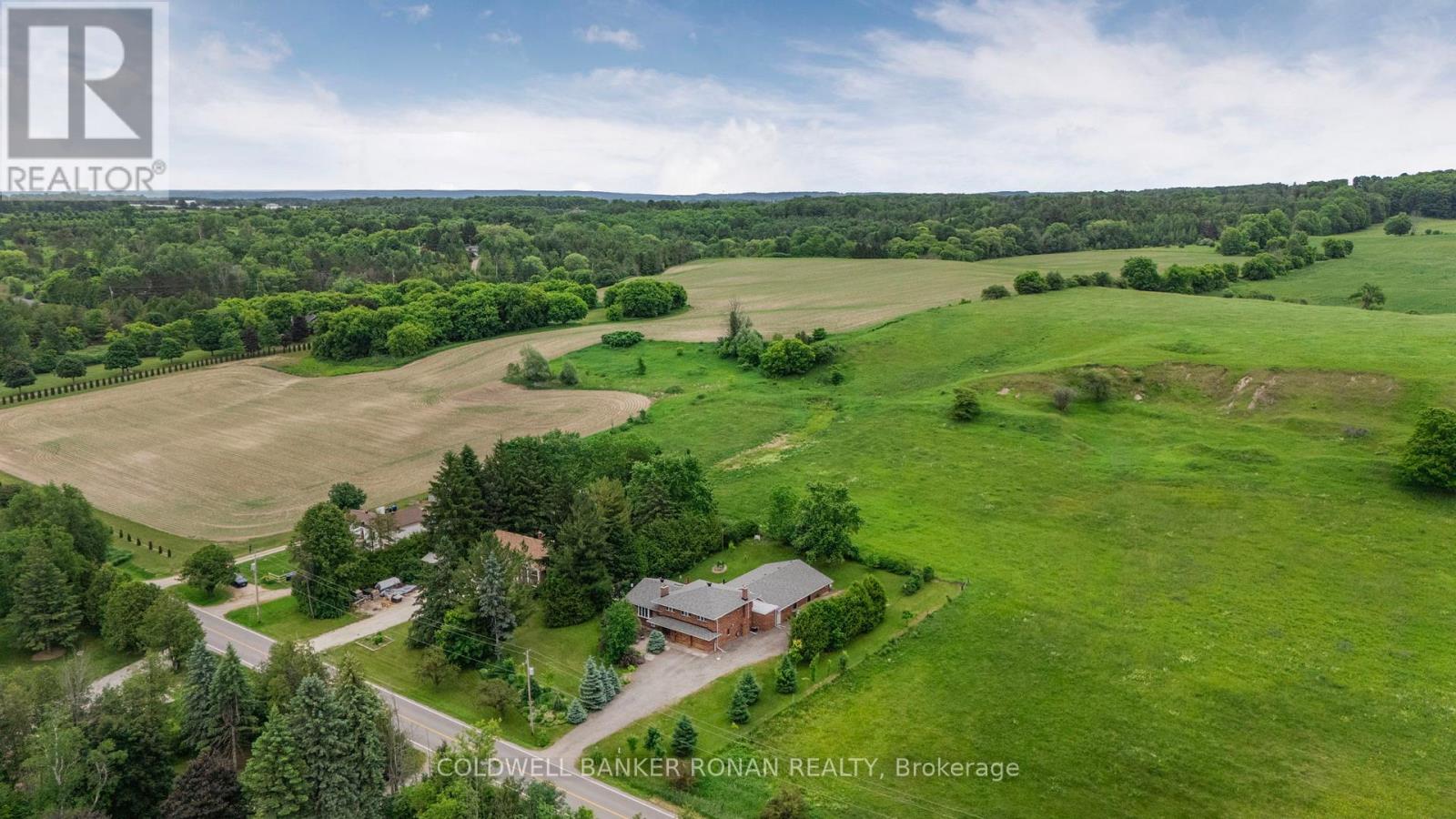 6145 3rd Line, New Tecumseth, Ontario  L0G 1W0 - Photo 37 - N12961484