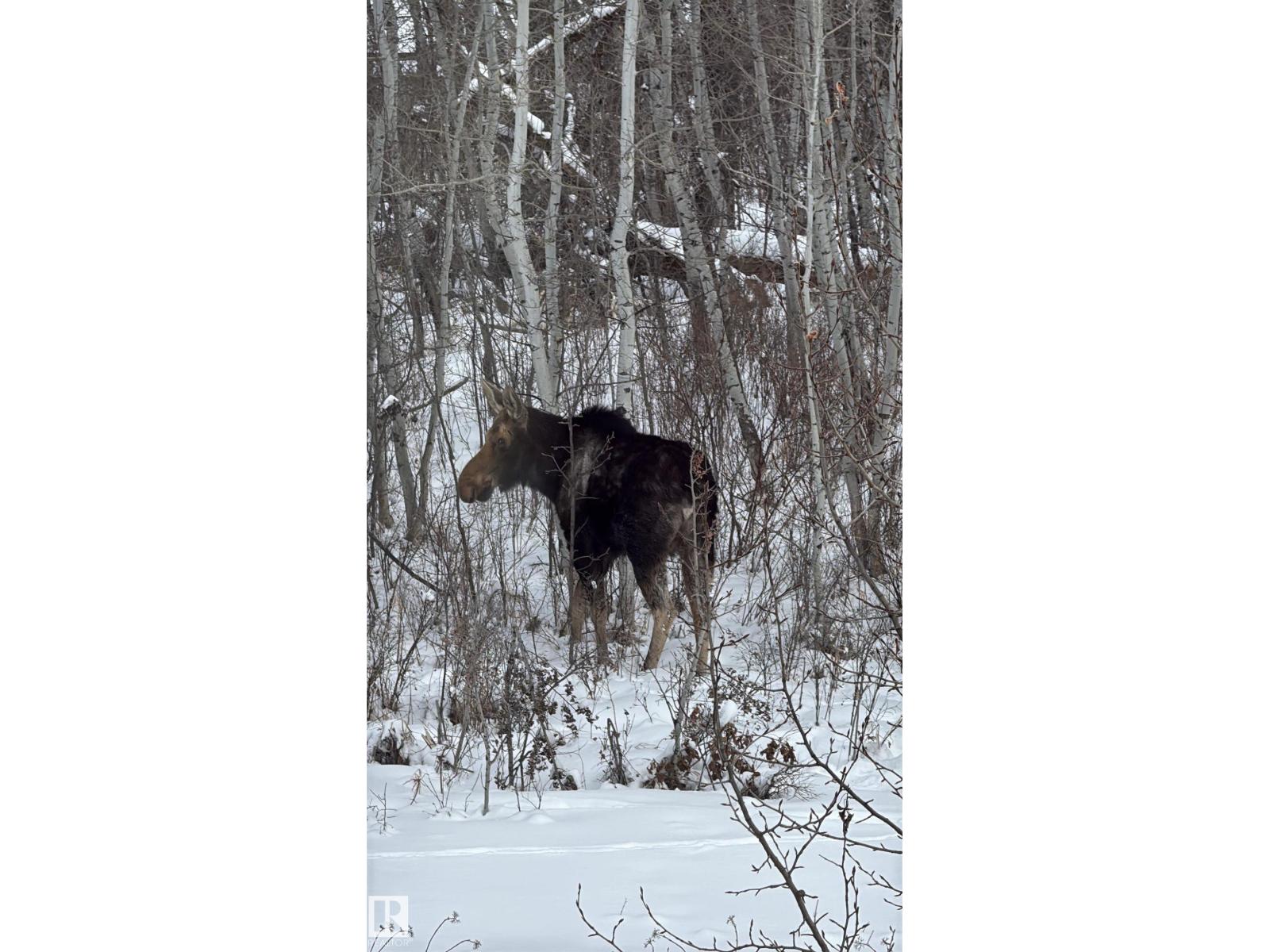 26 Edgewater Terr N, St. Albert, Alberta  T8N 4G5 - Photo 66 - E4480798