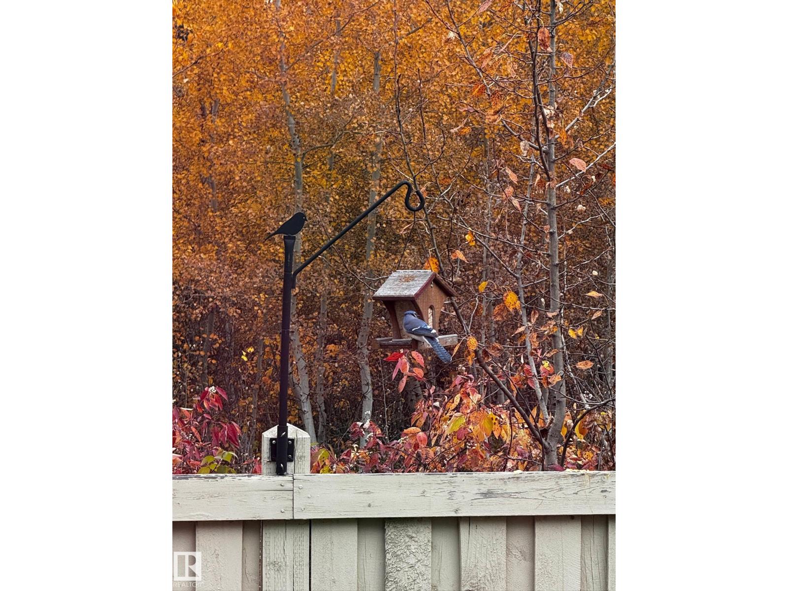 26 Edgewater Terr N, St. Albert, Alberta  T8N 4G5 - Photo 67 - E4480798