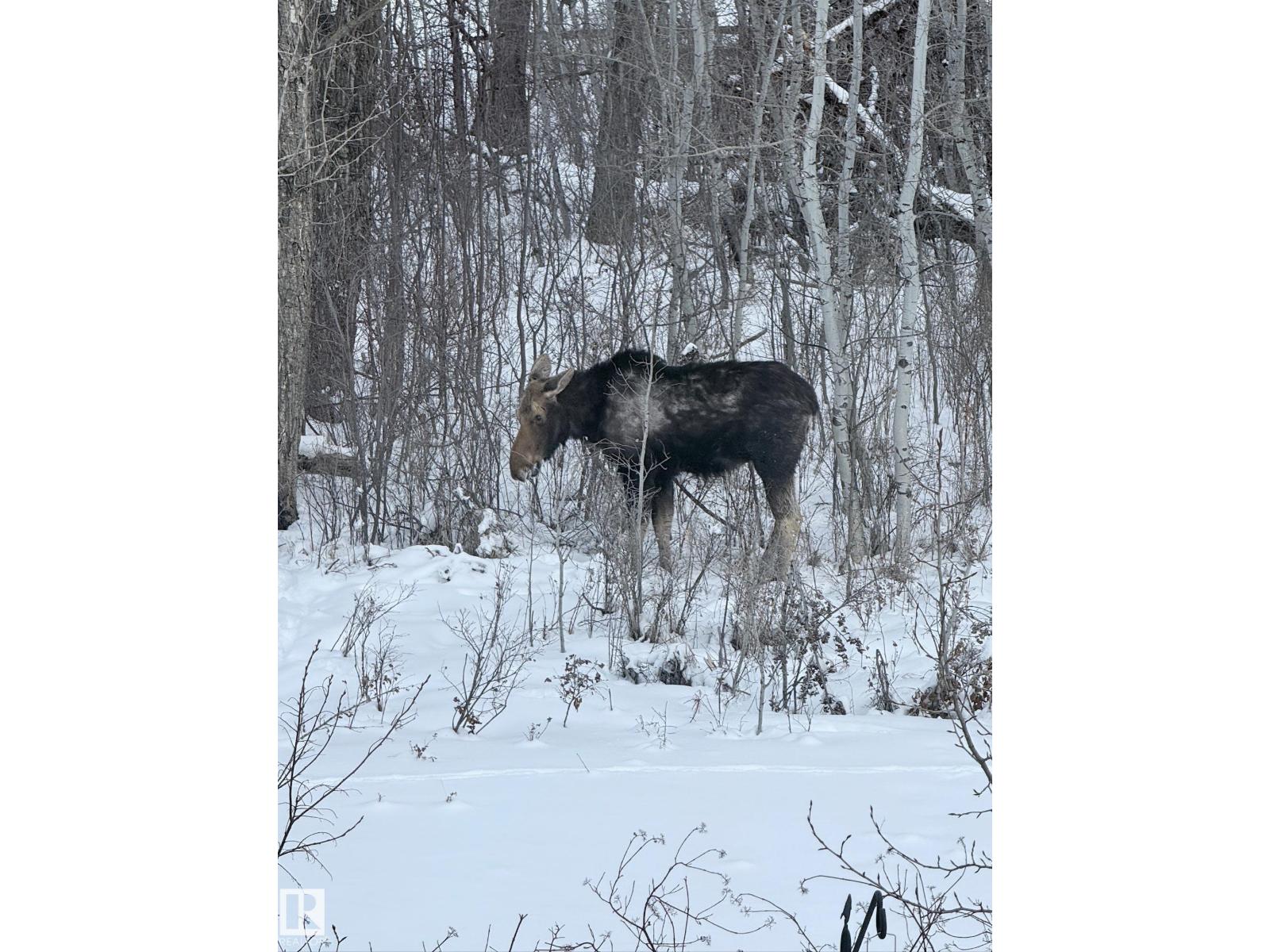 26 Edgewater Terr N, St. Albert, Alberta  T8N 4G5 - Photo 70 - E4480798