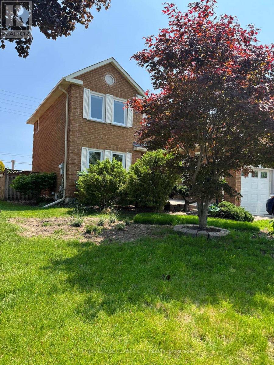 Basement - 98 Corkett Drive, Brampton, Ontario L6X 3E7 - Photo 3 - W12961544