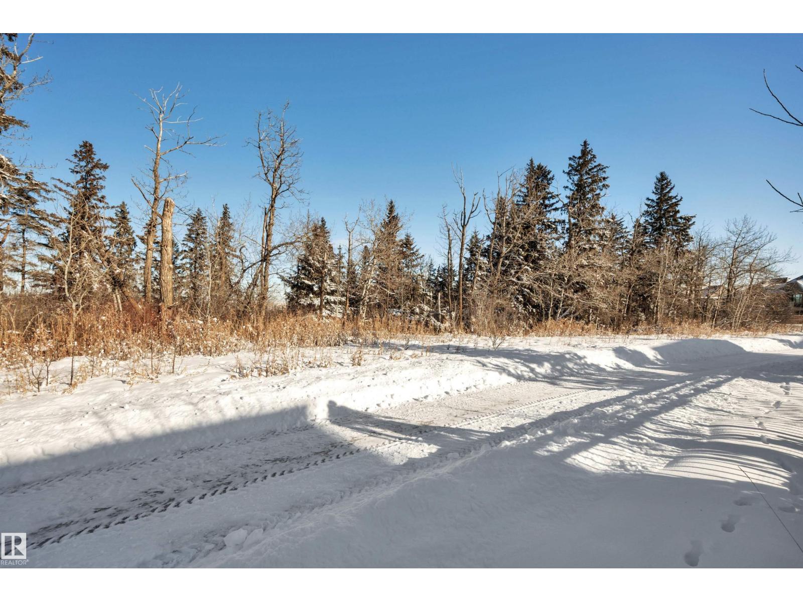 699 Howatt Dr Sw, Edmonton, Alberta  T6W 3K3 - Photo 64 - E4476185