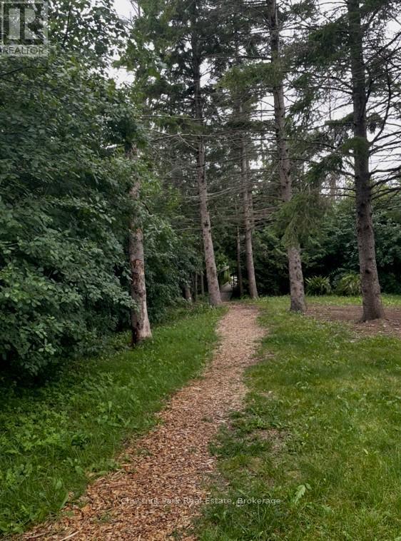 39 - 209472 Highway 26, Blue Mountains, Ontario L9Y 0V3 - Photo 28 - X12961644