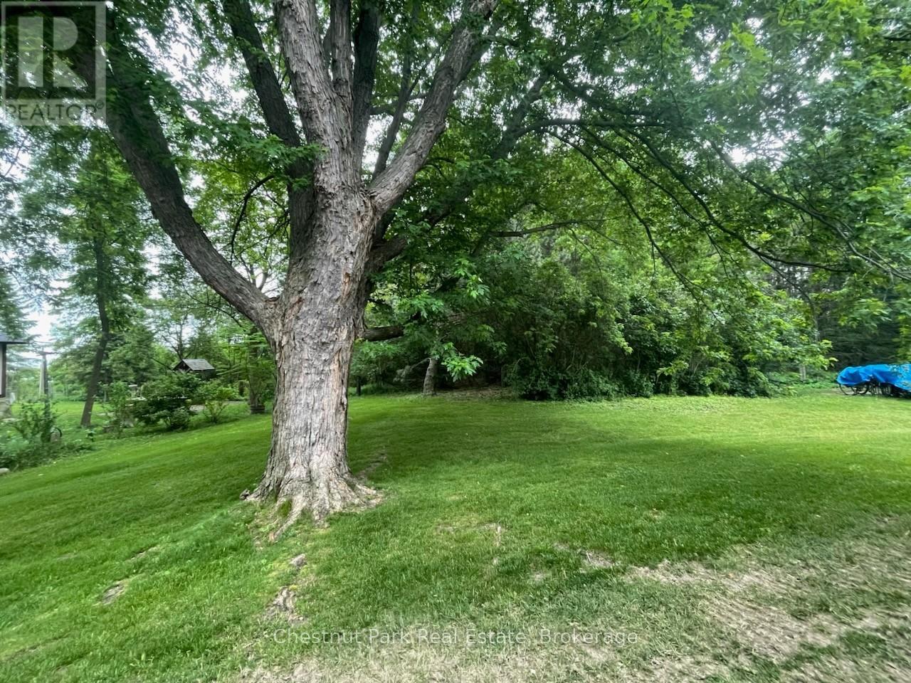 39 - 209472 Highway 26, Blue Mountains, Ontario L9Y 0V3 - Photo 32 - X12961644