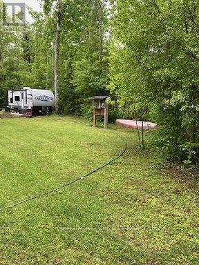 566 Cedar Smoke Road, Georgina Islands, Ontario  L4P 0J7 - Photo 10 - N12961730