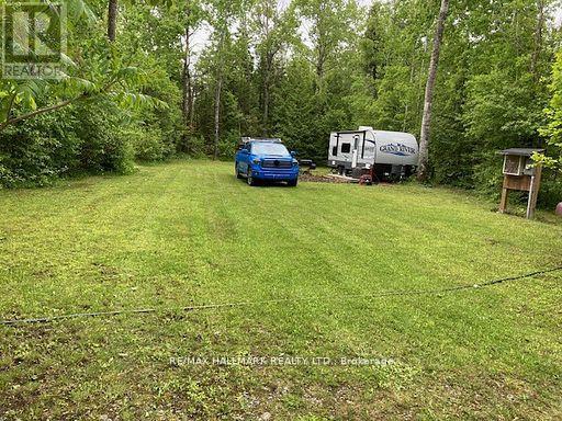 566 Cedar Smoke Road, Georgina Islands, Ontario  L4P 0J7 - Photo 11 - N12961730