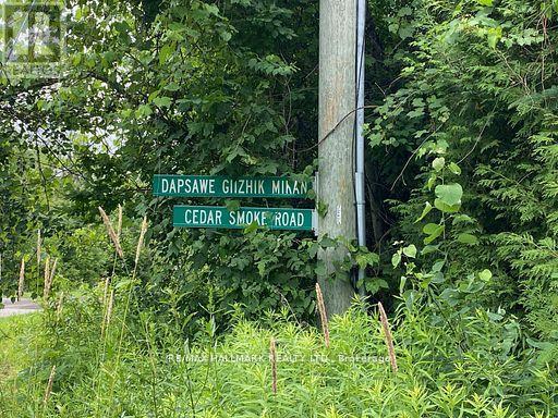 566 Cedar Smoke Road, Georgina Islands, Ontario  L4P 0J7 - Photo 13 - N12961730