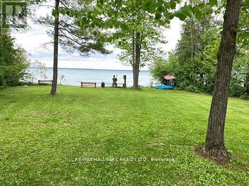 566 Cedar Smoke Road, Georgina Islands, Ontario  L4P 0J7 - Photo 15 - N12961730