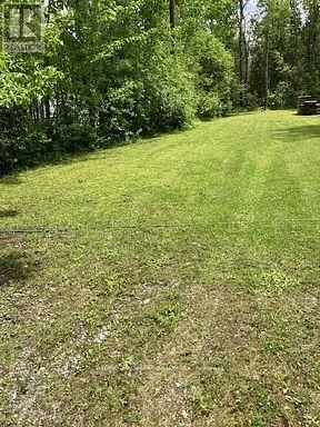 566 Cedar Smoke Road, Georgina Islands, Ontario  L4P 0J7 - Photo 4 - N12961730