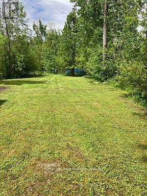 566 Cedar Smoke Road, Georgina Islands, Ontario  L4P 0J7 - Photo 5 - N12961730