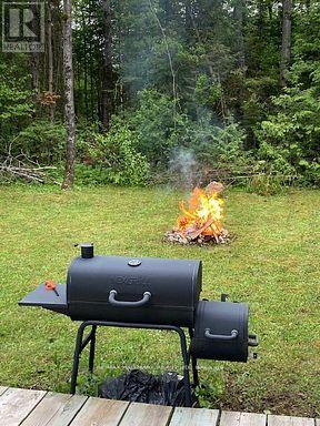 566 Cedar Smoke Road, Georgina Islands, Ontario  L4P 0J7 - Photo 6 - N12961730