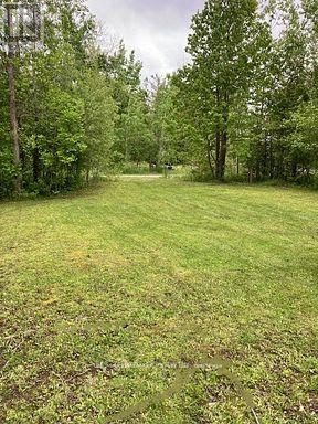 566 Cedar Smoke Road, Georgina Islands, Ontario  L4P 0J7 - Photo 7 - N12961730