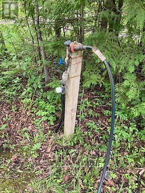 566 Cedar Smoke Road, Georgina Islands, Ontario  L4P 0J7 - Photo 9 - N12961730