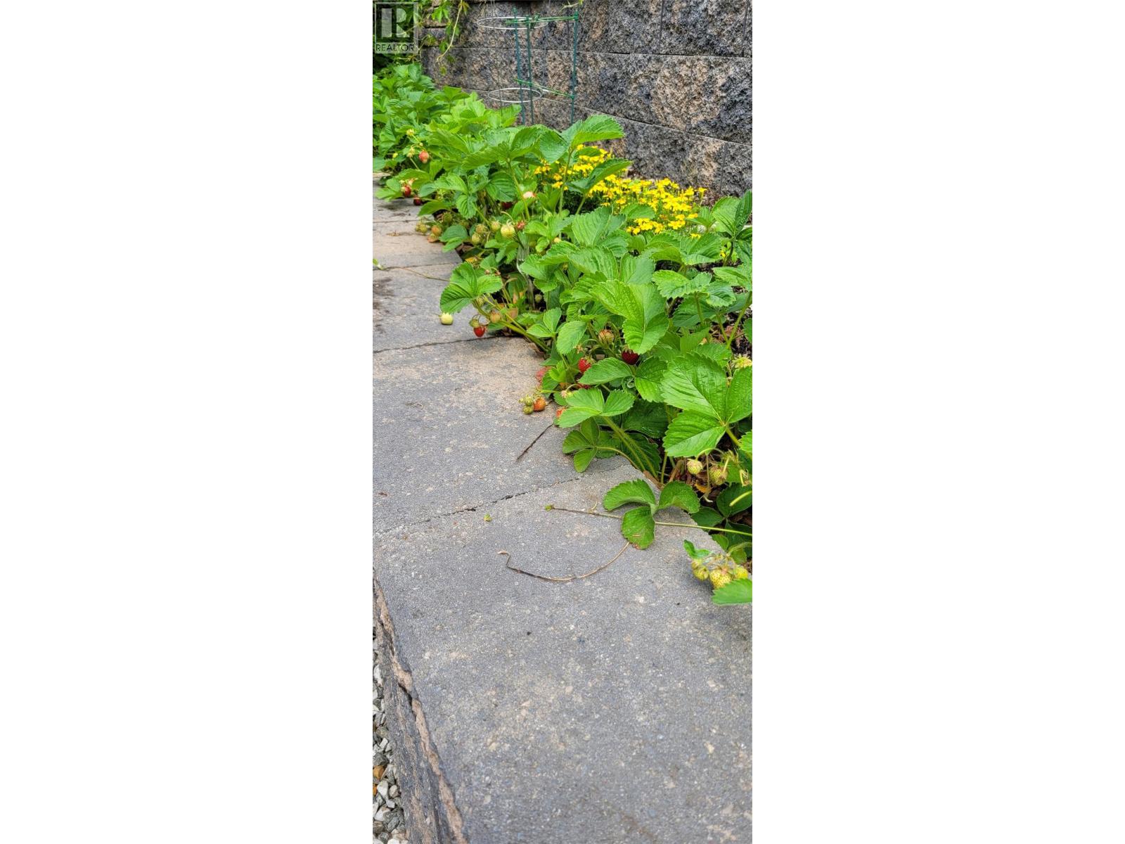 2511 Parkview Place, Blind Bay, British Columbia  V0E 1H2 - Photo 68 - 10381959