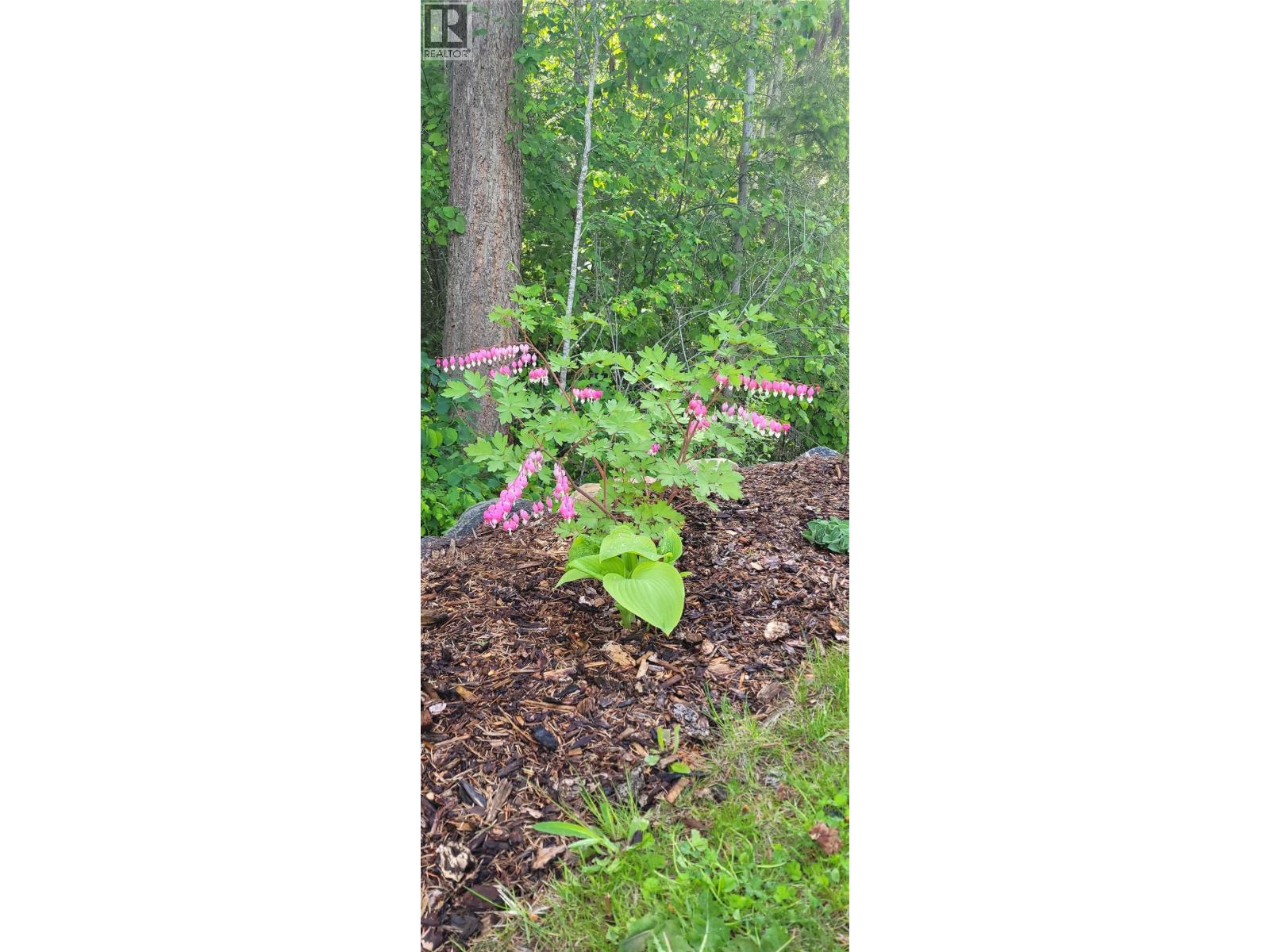 2511 Parkview Place, Blind Bay, British Columbia  V0E 1H2 - Photo 66 - 10381959