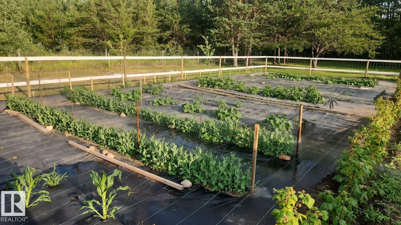 44306 Township Rd 630, Rural Bonnyville M.d., Alberta  T0A 0B0 - Photo 10 - E4480391