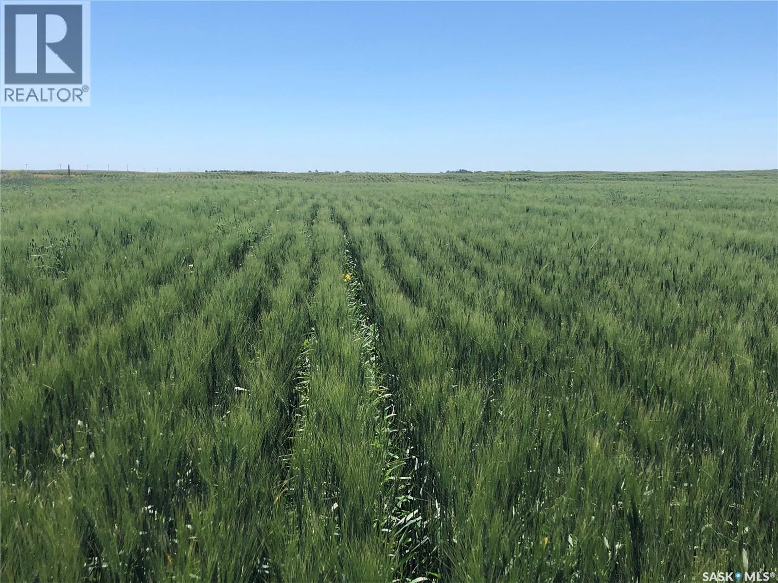 Rapley Arena Quarter, Val Marie Rm No. 17, Saskatchewan  S0N 0N0 - Photo 29 - SK032178