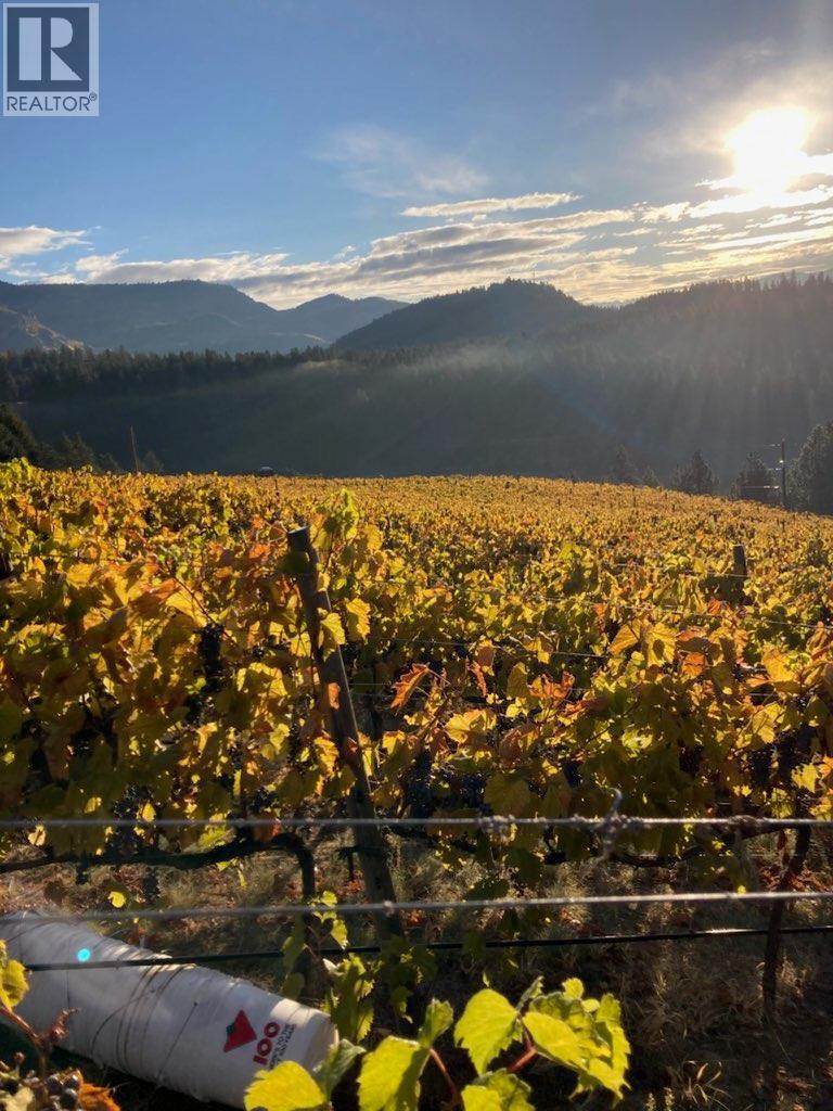 Panaroma Drive Lot# Lot B, Grand Forks, British Columbia  V0H 1H2 - Photo 5 - 10369371