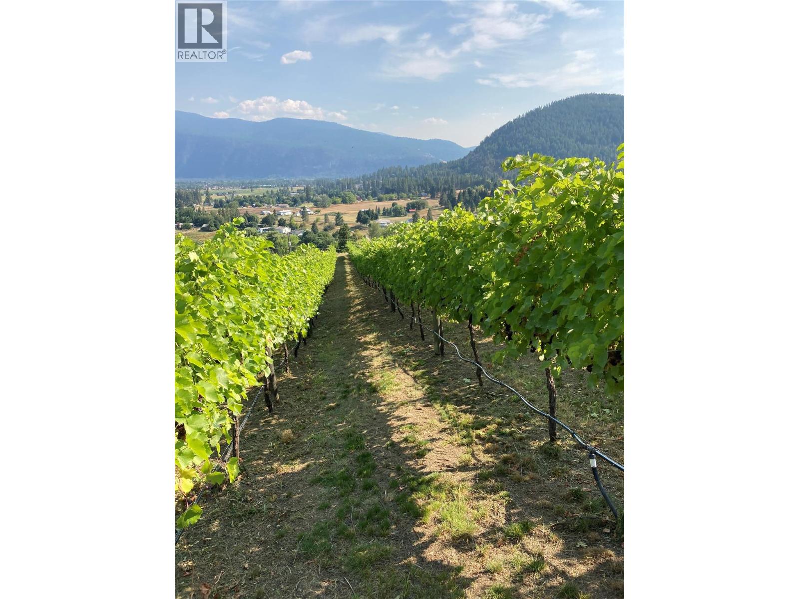 Panaroma Drive Lot# Lot B, Grand Forks, British Columbia  V0H 1H2 - Photo 2 - 10369371