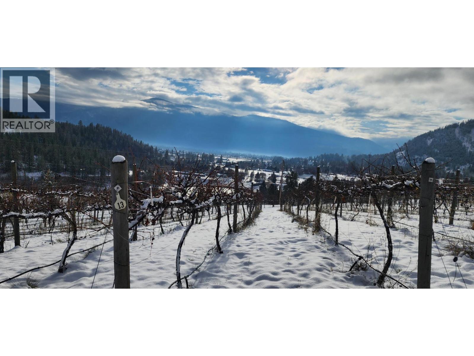 Panaroma Drive Lot# Lot B, Grand Forks, British Columbia  V0H 1H2 - Photo 3 - 10369371