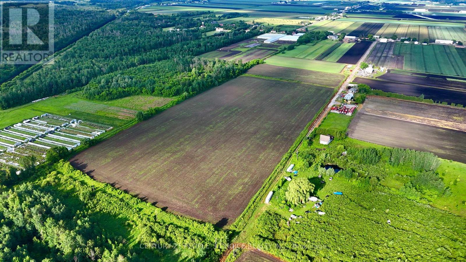 325 LIPCHEY ROAD, King, Ontario