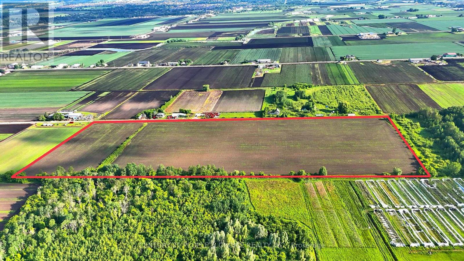 325 Lipchey Road, King, Ontario  L3Y 4V9 - Photo 10 - N12962074