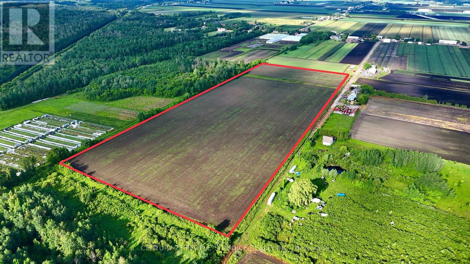 325 Lipchey Road, King, Ontario  L3Y 4V9 - Photo 2 - N12962074