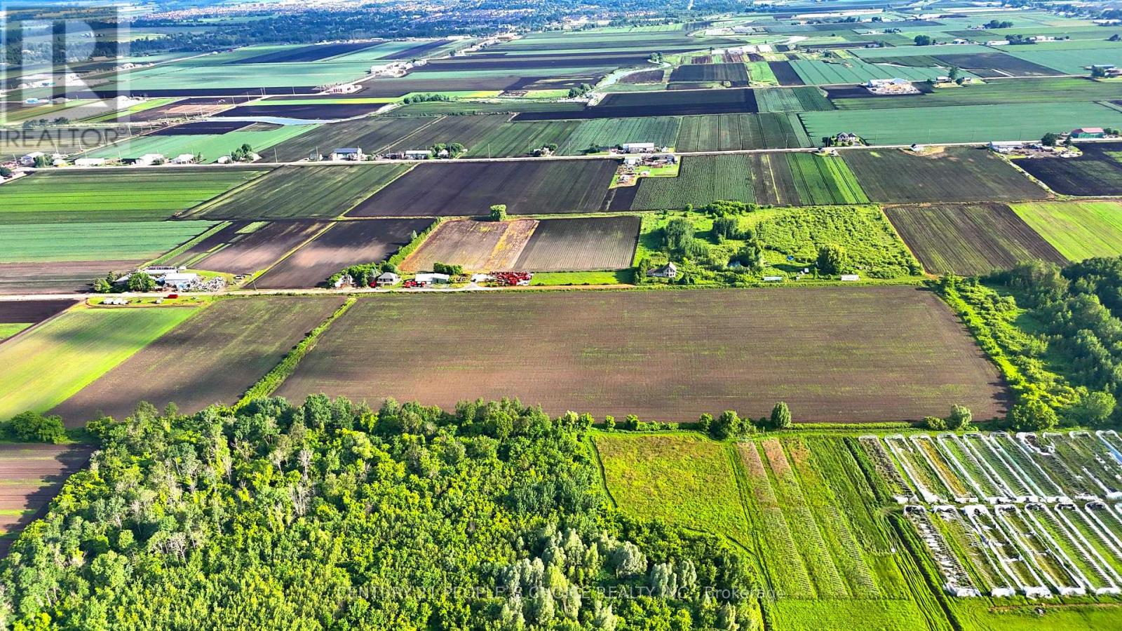 325 Lipchey Road, King, Ontario  L3Y 4V9 - Photo 9 - N12962074