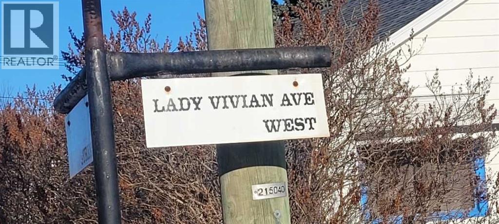 204 Lay Vivian Avenue W, Galahad, Alberta  T0B 1R0 - Photo 11 - A2294541