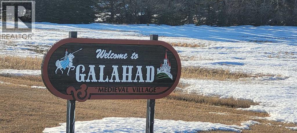 204 Lay Vivian Avenue W, Galahad, Alberta  T0B 1R0 - Photo 14 - A2294541