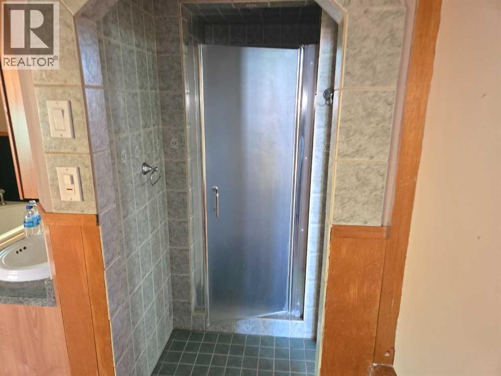 204 Lay Vivian Avenue W, Galahad, Alberta  T0B 1R0 - Photo 32 - A2294541