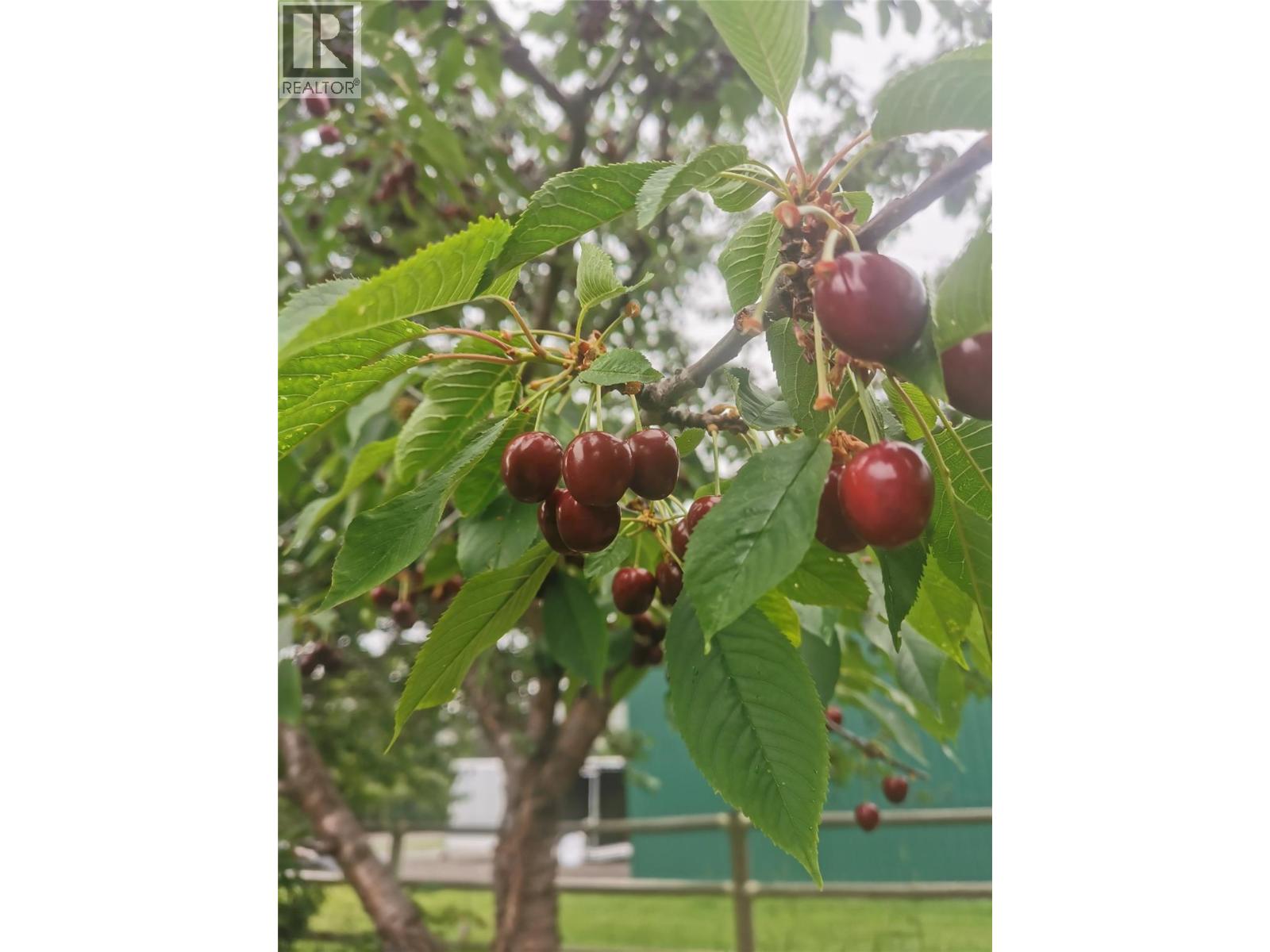 2811 Bank Road, Kamloops, British Columbia  V2B 6Y5 - Photo 24 - 10378426