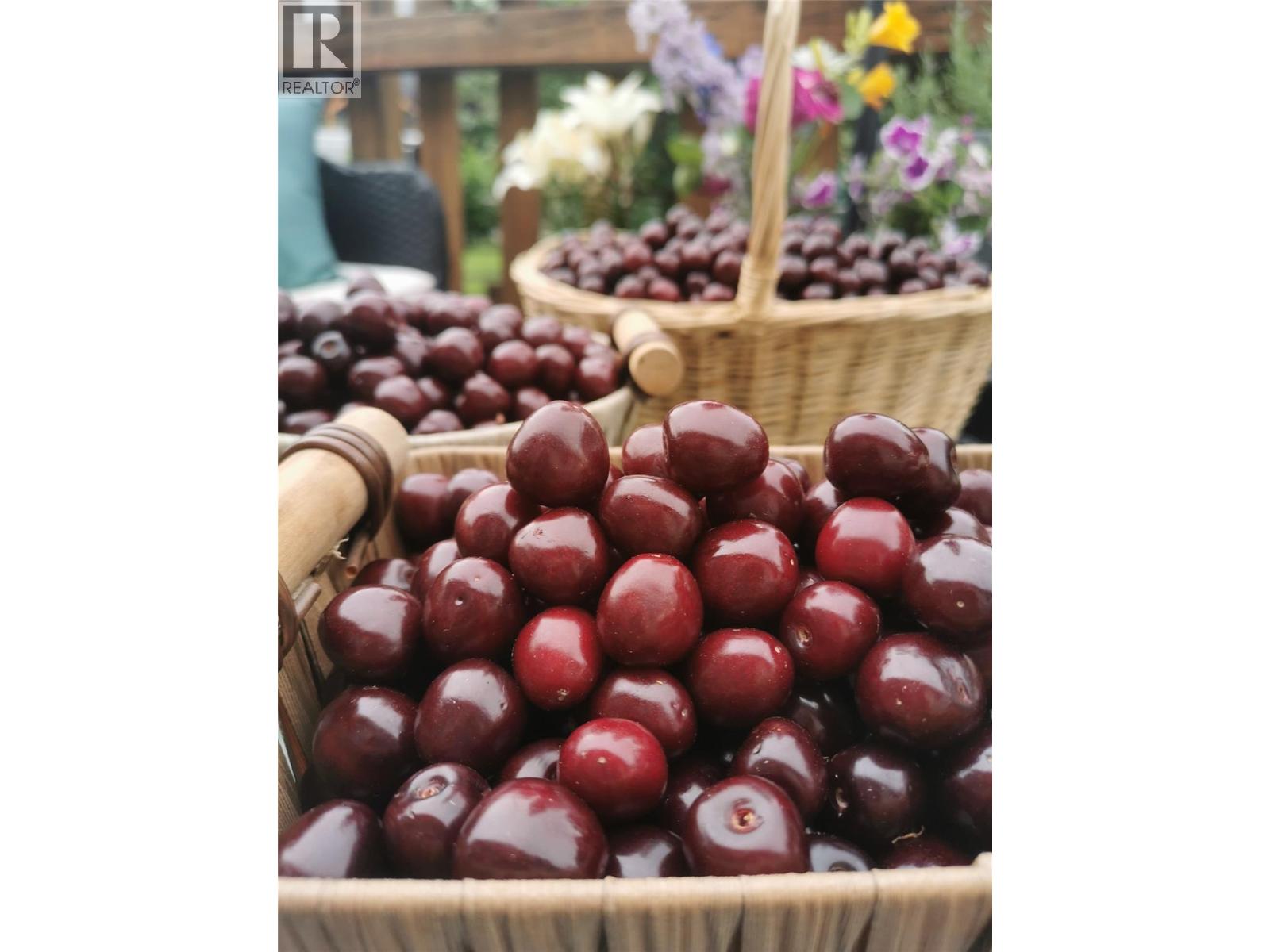 2811 Bank Road, Kamloops, British Columbia  V2B 6Y5 - Photo 25 - 10378426