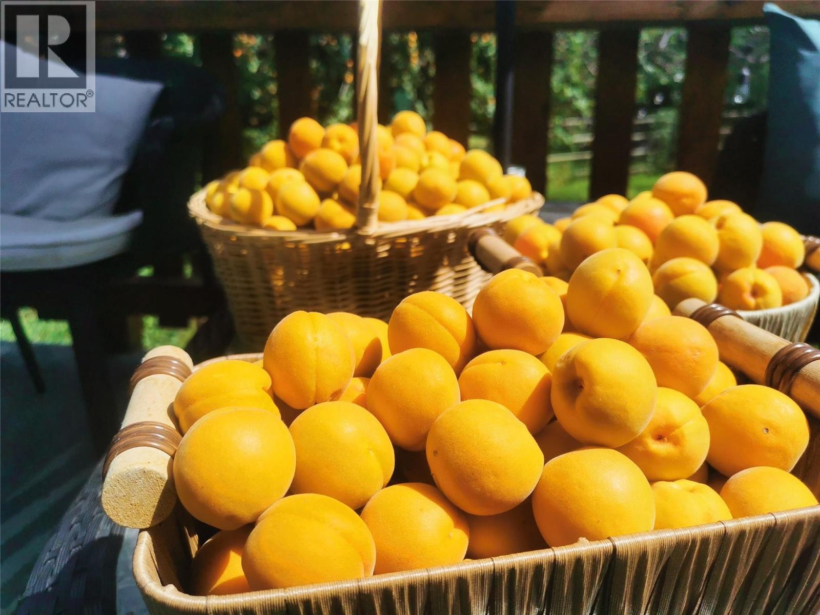 2811 Bank Road, Kamloops, British Columbia  V2B 6Y5 - Photo 27 - 10378426