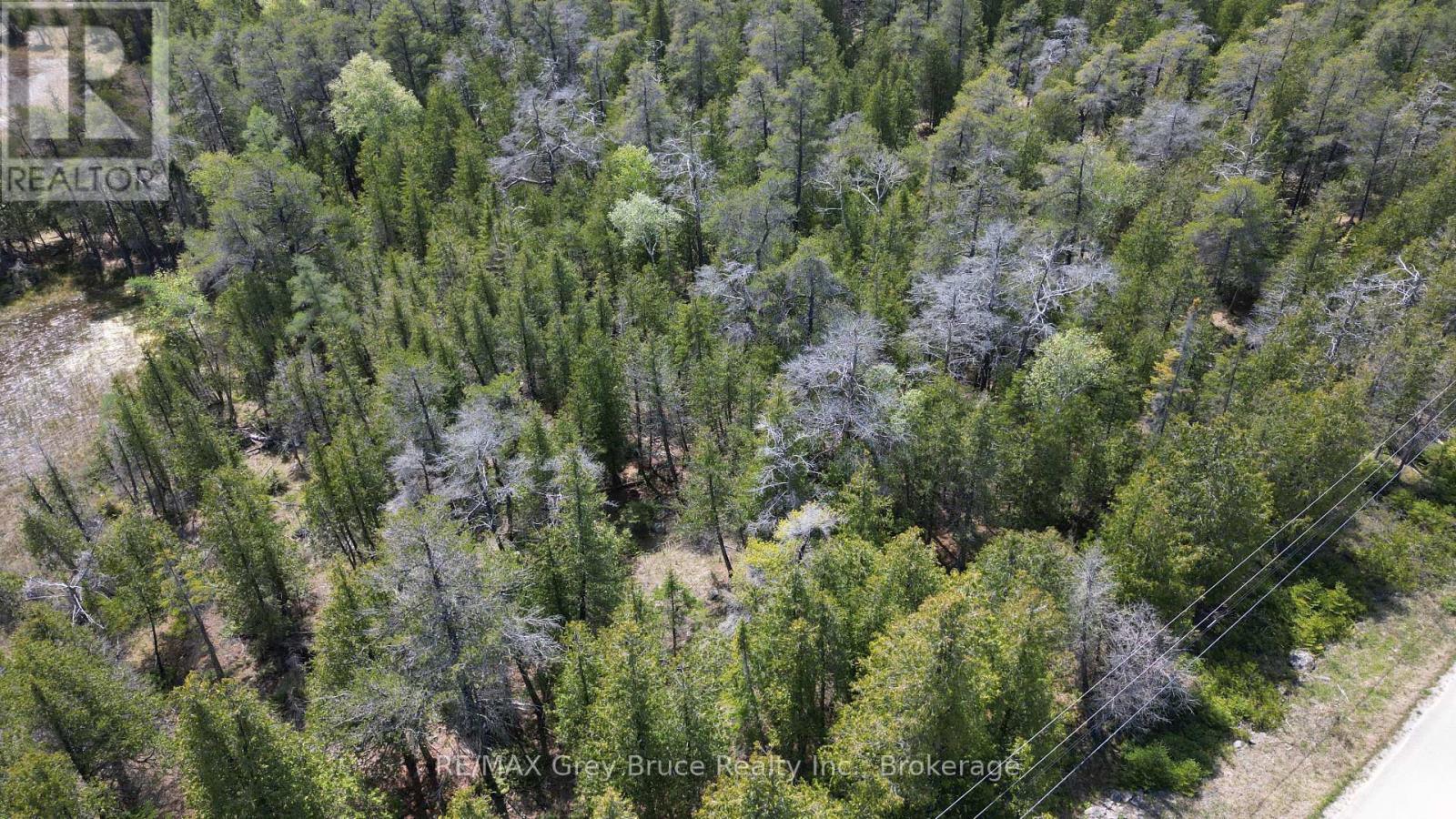 Lt 254 Dorcas Bay Road, Northern Bruce Peninsula, Ontario  N0H 2R0 - Photo 10 - X12962276