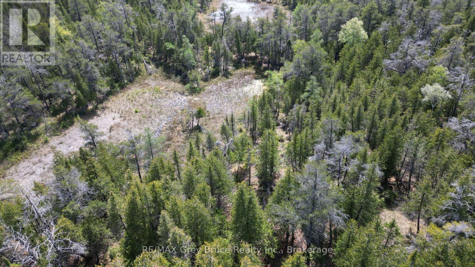 Lt 254 Dorcas Bay Road, Northern Bruce Peninsula, Ontario  N0H 2R0 - Photo 11 - X12962276