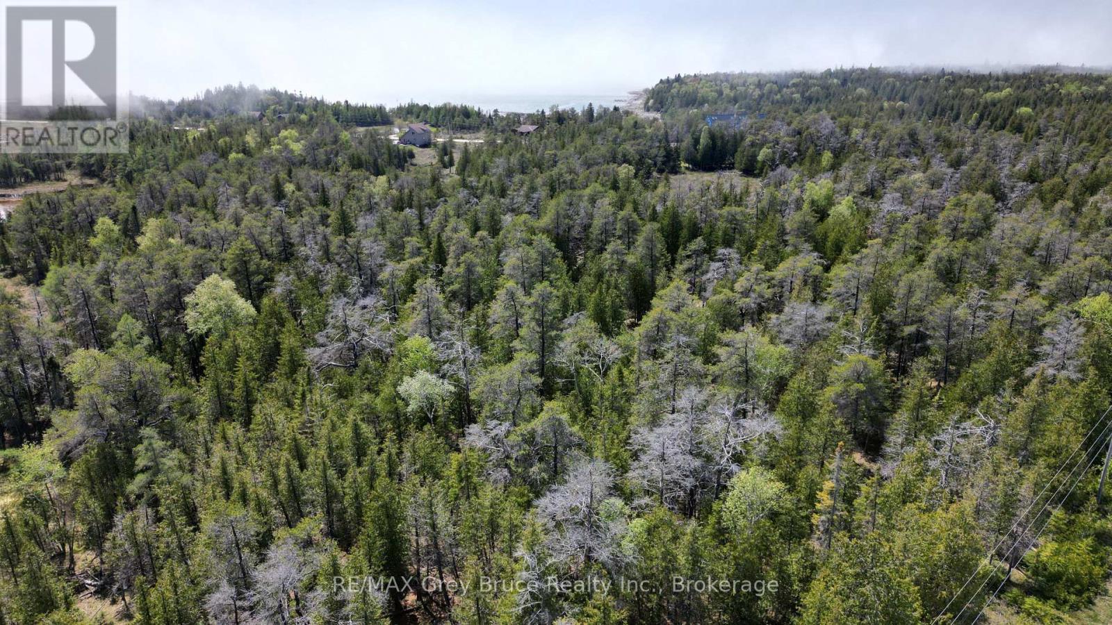 Lt 254 Dorcas Bay Road, Northern Bruce Peninsula, Ontario  N0H 2R0 - Photo 13 - X12962276