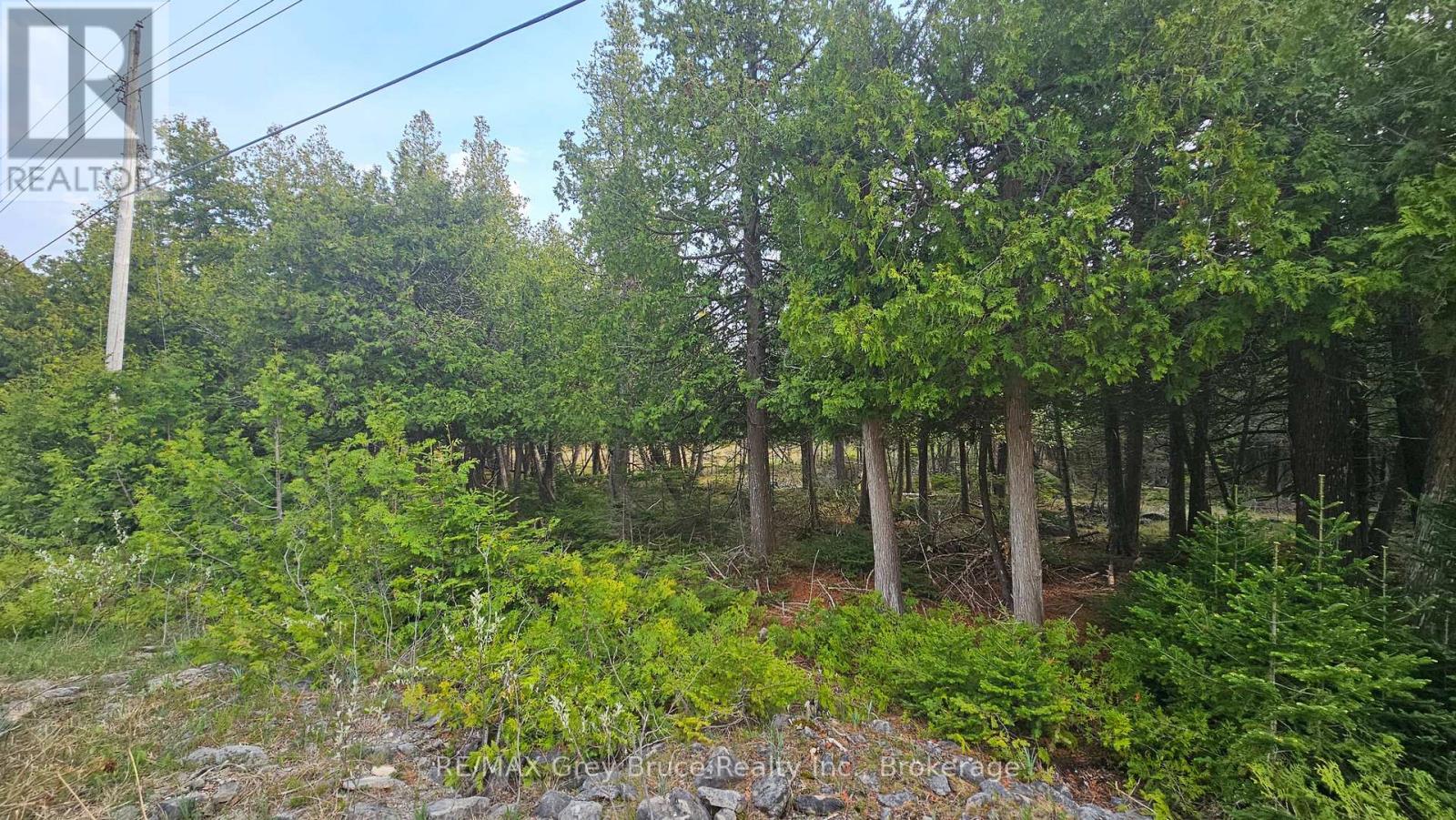 Lt 254 Dorcas Bay Road, Northern Bruce Peninsula, Ontario  N0H 2R0 - Photo 2 - X12962276