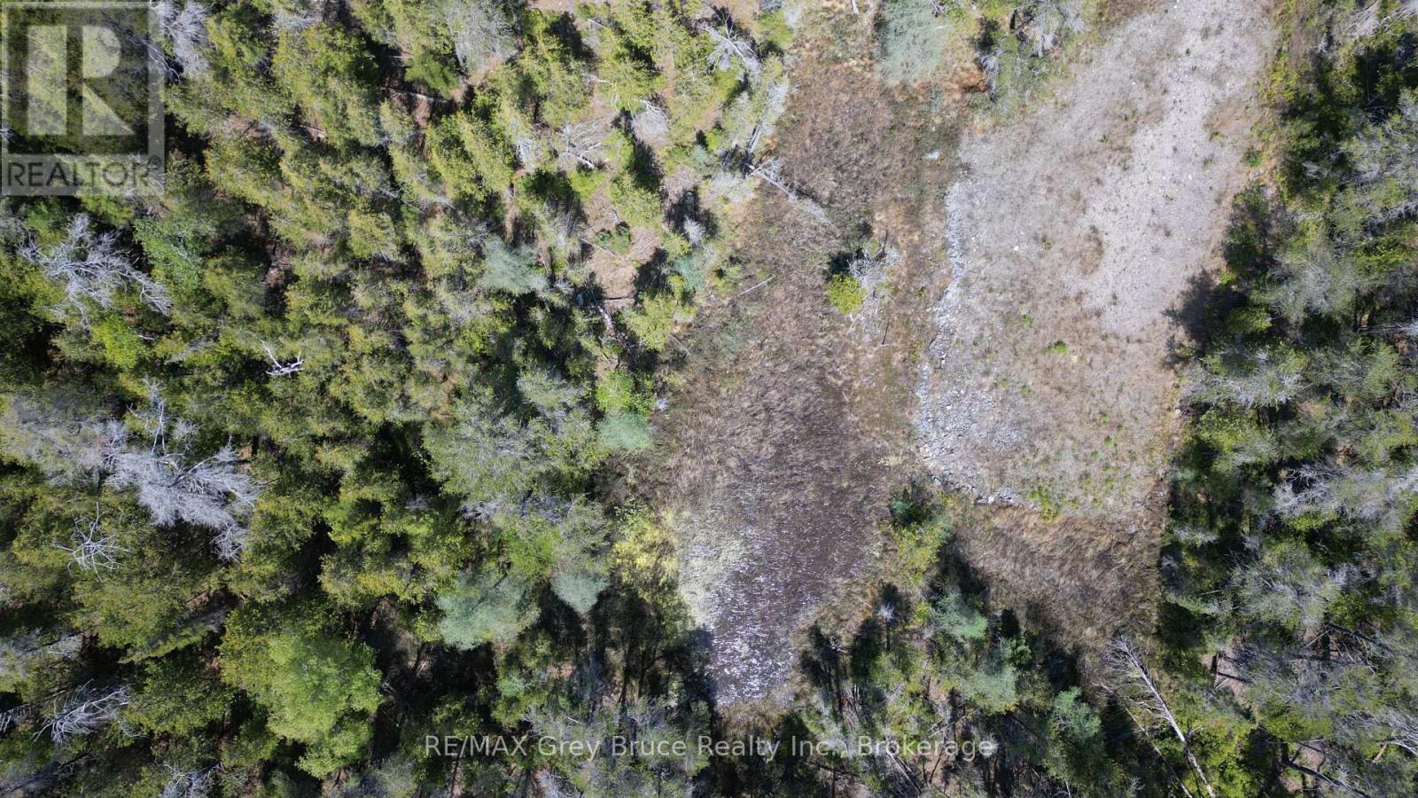 Lt 254 Dorcas Bay Road, Northern Bruce Peninsula, Ontario  N0H 2R0 - Photo 21 - X12962276