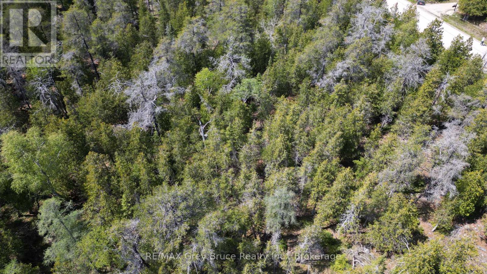 Lt 254 Dorcas Bay Road, Northern Bruce Peninsula, Ontario  N0H 2R0 - Photo 25 - X12962276