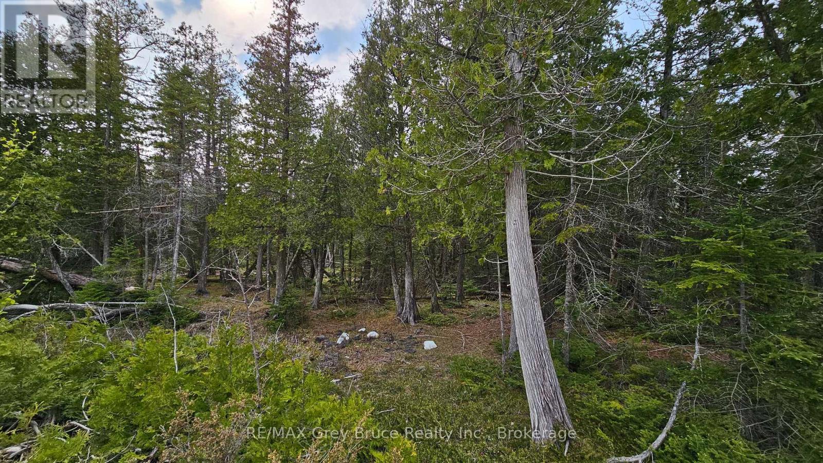 Lt 254 Dorcas Bay Road, Northern Bruce Peninsula, Ontario  N0H 2R0 - Photo 4 - X12962276