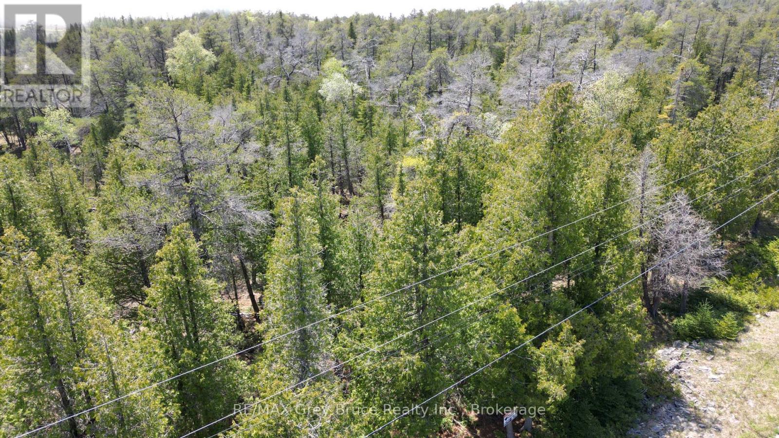 Lt 254 Dorcas Bay Road, Northern Bruce Peninsula, Ontario  N0H 2R0 - Photo 9 - X12962276